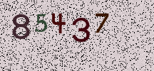 Visual Confirmation Security Code