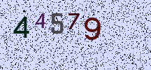 Visual Confirmation Security Code