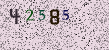 Visual Confirmation Security Code