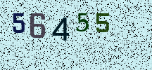 Visual Confirmation Security Code