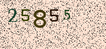 Visual Confirmation Security Code