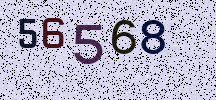 Visual Confirmation Security Code