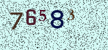 Visual Confirmation Security Code