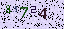 Visual Confirmation Security Code