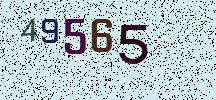 Visual Confirmation Security Code