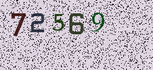 Visual Confirmation Security Code