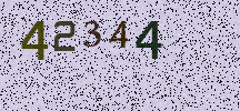 Visual Confirmation Security Code