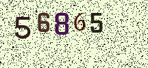 Visual Confirmation Security Code