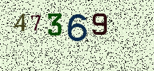 Visual Confirmation Security Code