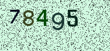 Visual Confirmation Security Code