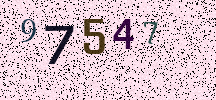 Visual Confirmation Security Code