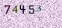 Visual Confirmation Security Code