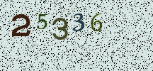 Visual Confirmation Security Code