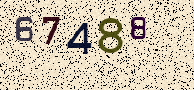 Visual Confirmation Security Code