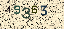 Visual Confirmation Security Code