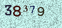 Visual Confirmation Security Code