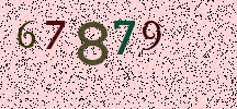 Visual Confirmation Security Code