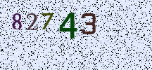 Visual Confirmation Security Code