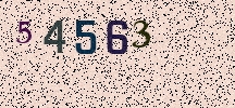 Visual Confirmation Security Code