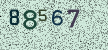Visual Confirmation Security Code