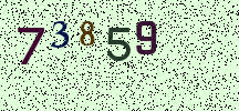 Visual Confirmation Security Code