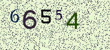 Visual Confirmation Security Code