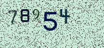Visual Confirmation Security Code
