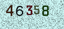 Visual Confirmation Security Code