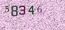 Visual Confirmation Security Code