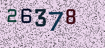 Visual Confirmation Security Code