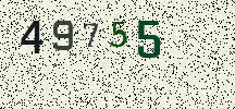 Visual Confirmation Security Code