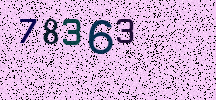 Visual Confirmation Security Code