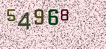 Visual Confirmation Security Code