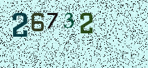 Visual Confirmation Security Code