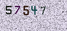 Visual Confirmation Security Code